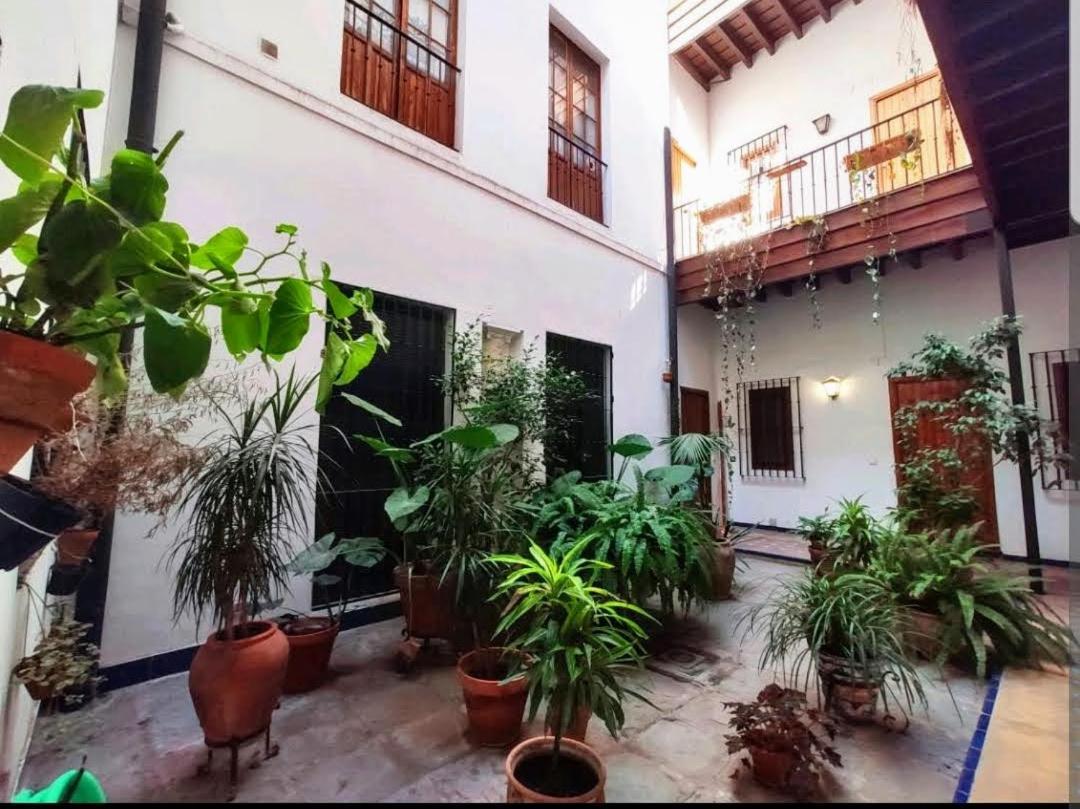Coco Home Sevilla Urban Apartment Exterior photo